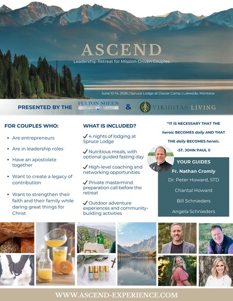 Ascend Flyer