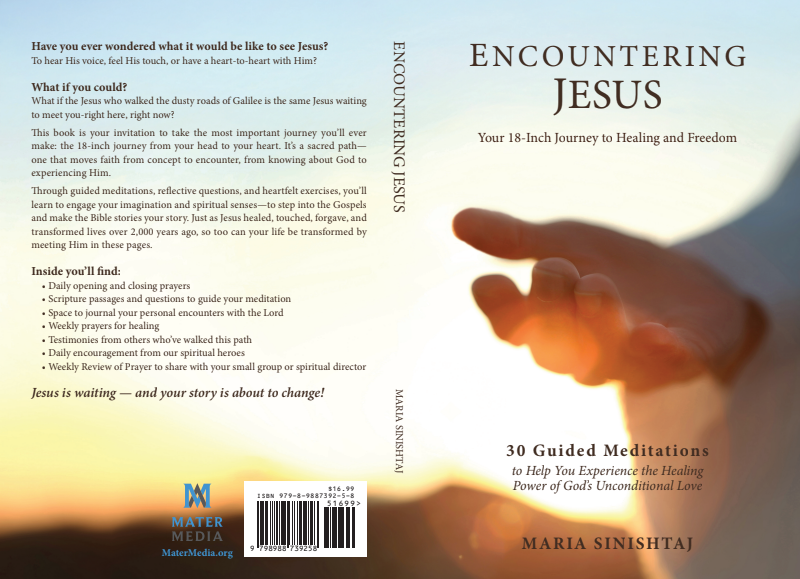 Encountering Jesus Book