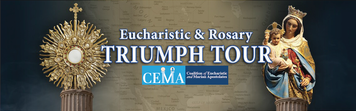 Cema Triumph Banner 2 3
