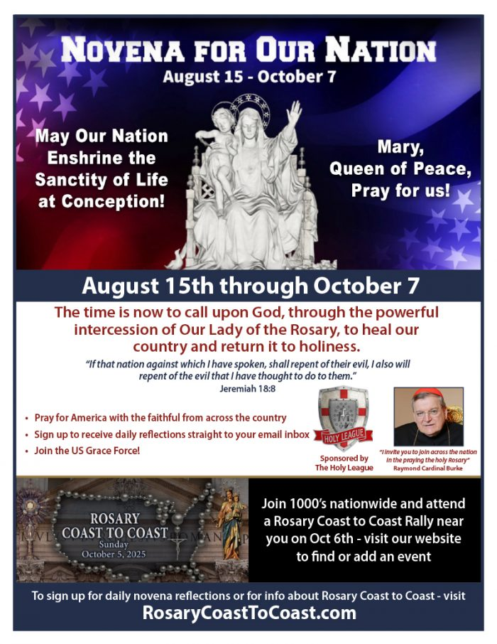 Novena for Our Nation Novena for Our Nation Poster