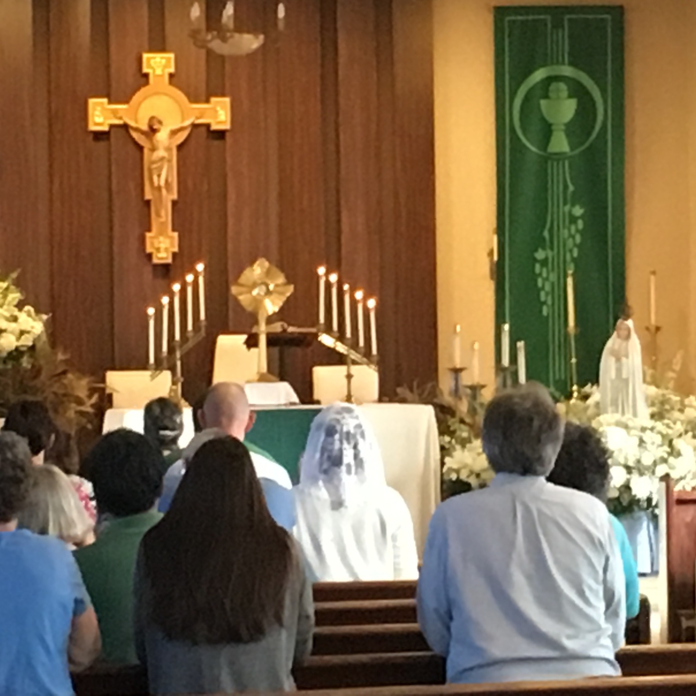 Diocesan Rosary Congress in Steubenville